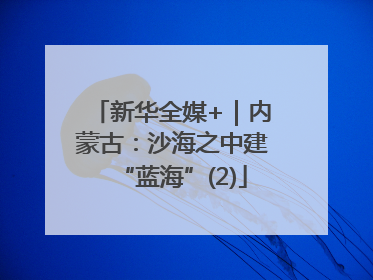 新华全媒+｜内蒙古：沙海之中建“蓝海”(2)