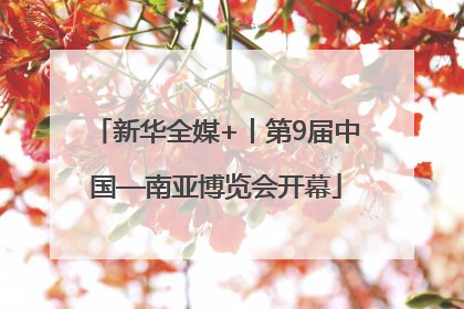 新华全媒+丨第9届中国—南亚博览会开幕