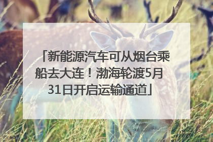 新能源汽车可从烟台乘船去大连！渤海轮渡5月31日开启运输通道