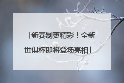 新赛制更精彩！全新世俱杯即将登场亮相
