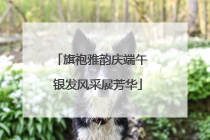 旗袍雅韵庆端午 银发风采展芳华