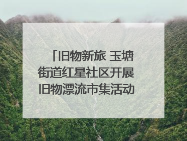 旧物新旅 玉塘街道红星社区开展旧物漂流市集活动   