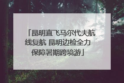 昆明直飞马尔代夫航线复航 昆明边检全力保障暑期跨境游