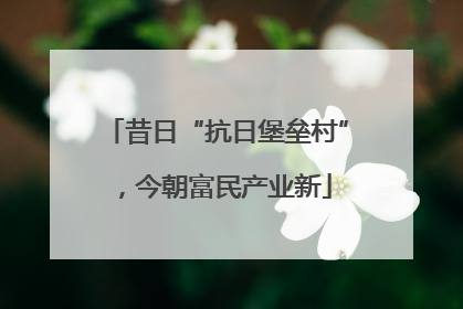 昔日“抗日堡垒村”，今朝富民产业新
