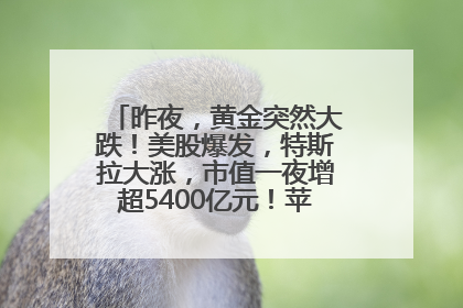 昨夜，黄金突然大跌！美股爆发，特斯拉大涨，市值一夜增超5400亿元！苹果传来大消息