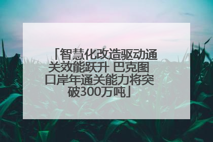 智慧化改造驱动通关效能跃升 巴克图口岸年通关能力将突破300万吨