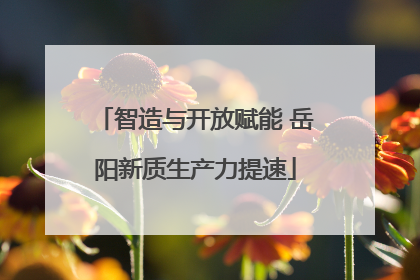 智造与开放赋能 岳阳新质生产力提速