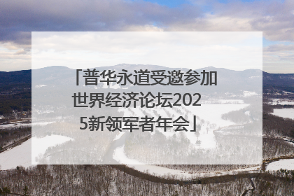 普华永道受邀参加世界经济论坛2025新领军者年会