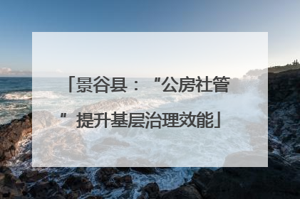 景谷县：“公房社管”提升基层治理效能