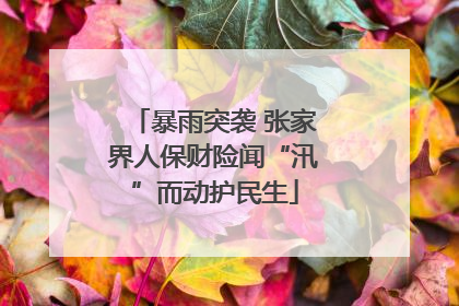 暴雨突袭 张家界人保财险闻“汛”而动护民生