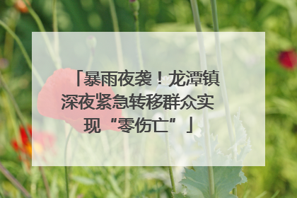 暴雨夜袭！龙潭镇深夜紧急转移群众实现“零伤亡”