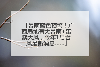 暴雨蓝色预警！广西局地有大暴雨+雷暴大风，今年1号台风最新消息……