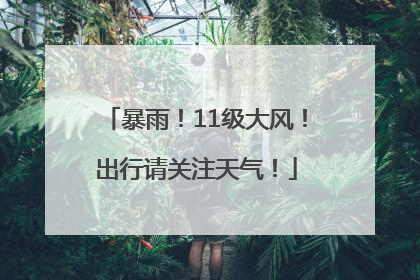 暴雨！11级大风！出行请关注天气！
