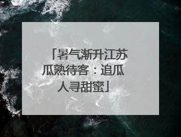 暑气渐升江苏瓜熟待客：追瓜人寻甜蜜