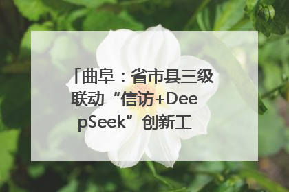 曲阜：省市县三级联动“信访+DeepSeek”创新工作新闻发布会举行