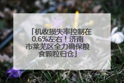 机收损失率控制在0.6%左右！济南市莱芜区全力确保粮食颗粒归仓