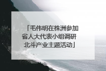 毛伟明在株洲参加省人大代表小组调研北斗产业主题活动