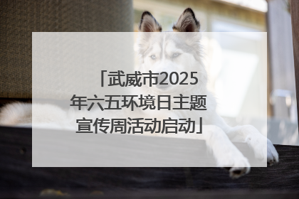 武威市2025年六五环境日主题宣传周活动启动