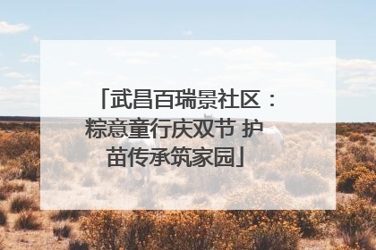 武昌百瑞景社区：粽意童行庆双节 护苗传承筑家园