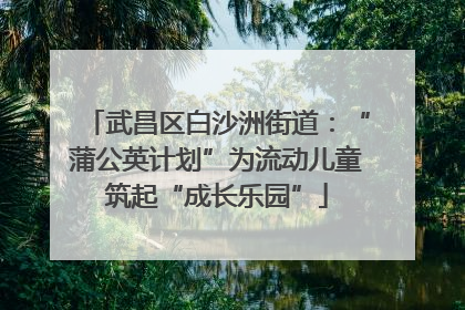 武昌区白沙洲街道：“蒲公英计划”为流动儿童筑起“成长乐园”