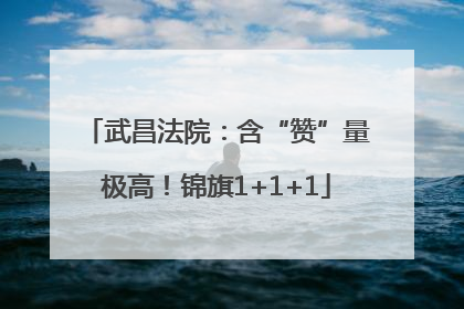 武昌法院：含“赞”量极高！锦旗1+1+1