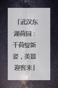 武汉东湖荷园：千荷绽新姿，美景迎客来