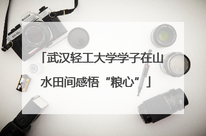 武汉轻工大学学子在山水田间感悟“粮心”