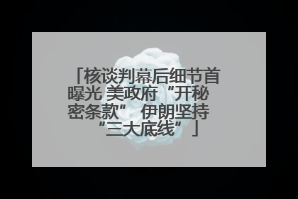 核谈判幕后细节首曝光 美政府“开秘密条款” 伊朗坚持“三大底线”