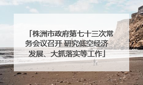 株洲市政府第七十三次常务会议召开 研究低空经济发展、大抓落实等工作