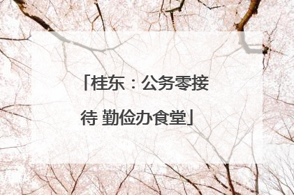 桂东：公务零接待 勤俭办食堂