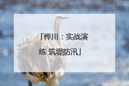 桦川：实战演练 筑堤防汛