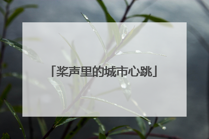 桨声里的城市心跳