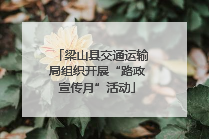 梁山县交通运输局组织开展“路政宣传月”活动