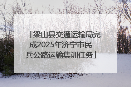 梁山县交通运输局完成2025年济宁市民兵公路运输集训任务