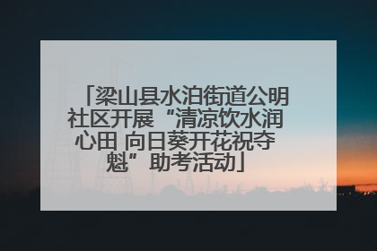 梁山县水泊街道公明社区开展“清凉饮水润心田 向日葵开花祝夺魁”助考活动