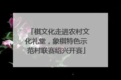 棋文化走进农村文化礼堂，象棋特色示范村联赛绍兴开赛