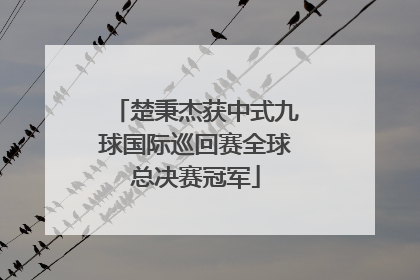 楚秉杰获中式九球国际巡回赛全球总决赛冠军