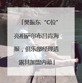 樊振东“C位”亮相萨尔布吕肯海报，俱乐部经理透露其加盟内幕