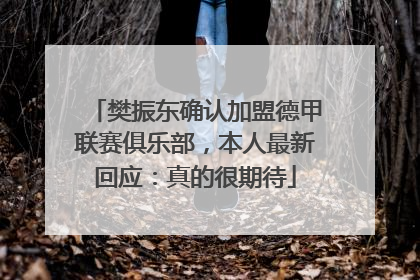樊振东确认加盟德甲联赛俱乐部，本人最新回应：真的很期待