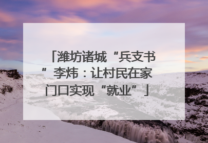 潍坊诸城“兵支书”李炜：让村民在家门口实现“就业”