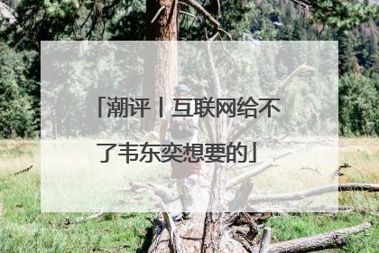 潮评丨互联网给不了韦东奕想要的