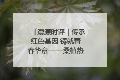 澧源时评｜传承红色基因 铸就青春华章——桑植热土上的青春长征