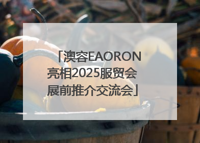 澳容EAORON亮相2025服贸会展前推介交流会