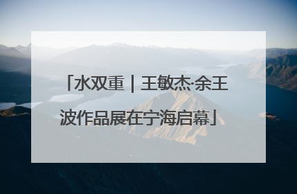 水双重｜王敏杰·余王波作品展在宁海启幕