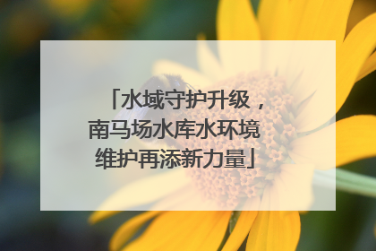水域守护升级，南马场水库水环境维护再添新力量