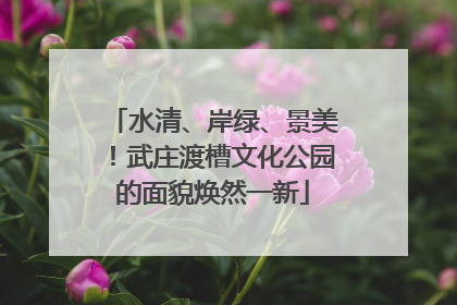 水清、岸绿、景美！武庄渡槽文化公园的面貌焕然一新