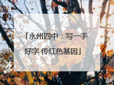 永州四中：写一手好字 传红色基因