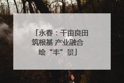 永春：千亩良田筑根基 产业融合绘“丰”景