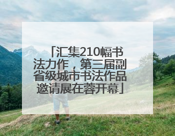 汇集210幅书法力作，第三届副省级城市书法作品邀请展在蓉开幕
