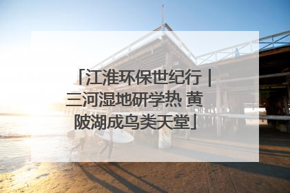 江淮环保世纪行｜三河湿地研学热 黄陂湖成鸟类天堂